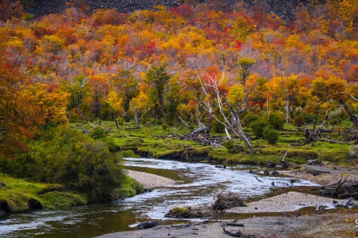 Ushuaia National Park Excursion — Canoe Lapataia Bay & Coastal Trek photo 5