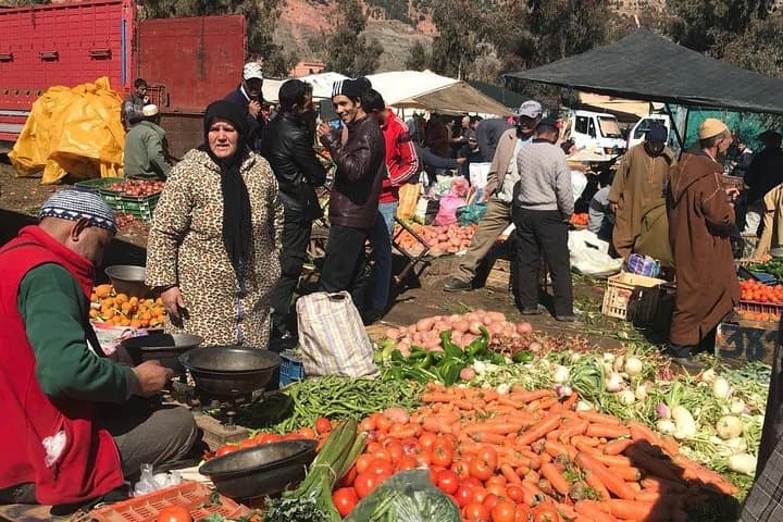 Marrakech to the Atlas: 3 Valleys Waterfalls & Camel Ride Day Trip photo 3