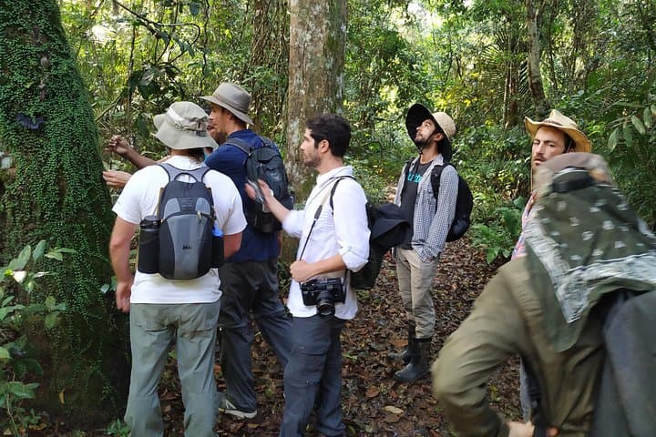 Amazon River Cruise from Alter do Chão: 4-Day Tapajós & Arapiuns Immersion