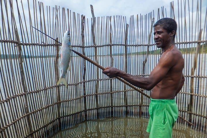 Kosi Bay Mouth Kayaking & Snorkeling: Fish Traps, Mangroves and a Traditional Braai photo 3