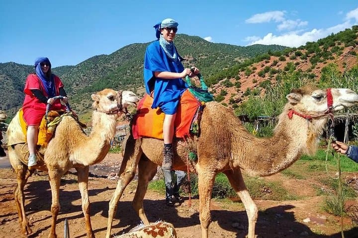 Atlas Mountains Day Trip from Marrakech: Imlil & 3 Valleys with Camel Ride