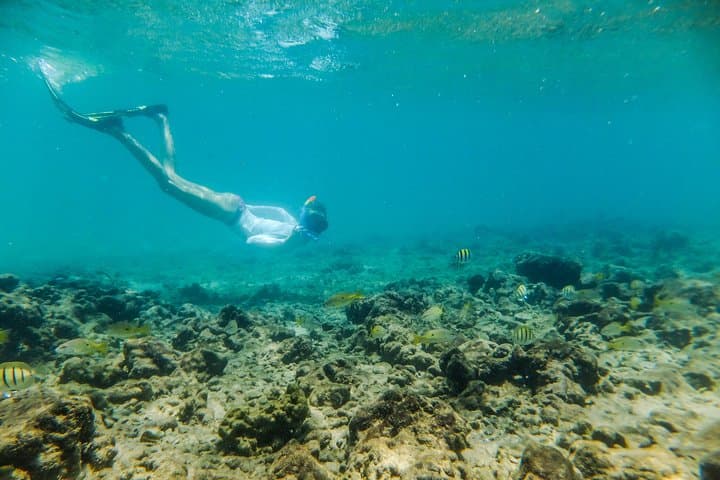 Kosi Bay Mouth Kayaking & Snorkeling: Fish Traps, Mangroves and a Traditional Braai photo 5