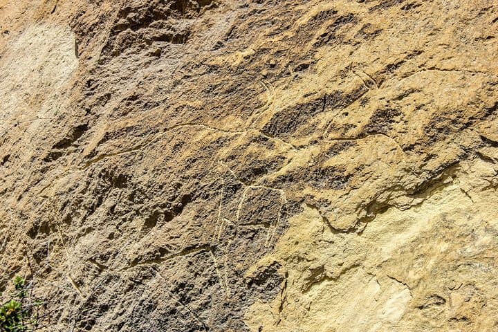 Gobustan and Mud Volcanoes Day Trip from Baku: Petroglyphs, Museum & Active Mud Vents photo 6