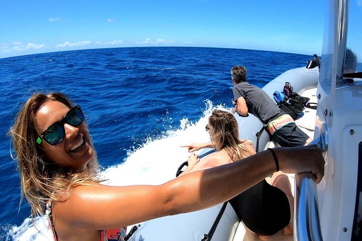 Private Whale Watching from Waikiki: Ala Wai Harbor Charter (2-hour)