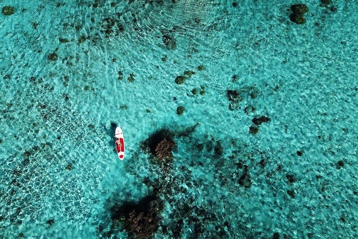Paddle the Bora Bora Lagoon: 90-Minute Stand-Up Paddle Through Turquoise Motus photo 5