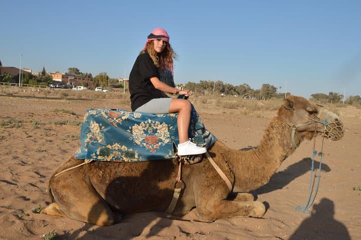 Sunset Camel Ride in Agadir: Eucalyptus Trails, Souss River & Mint Tea photo 4