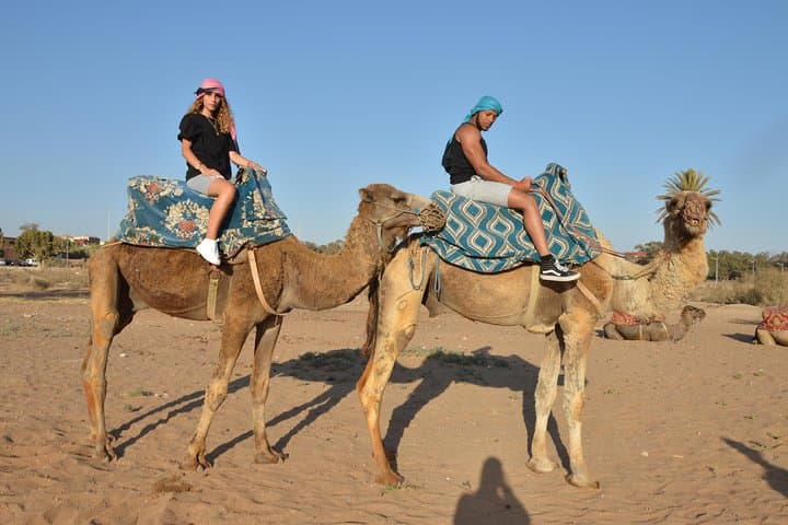 Sunset Camel Ride in Agadir: Eucalyptus Trails, Souss River & Mint Tea photo 5