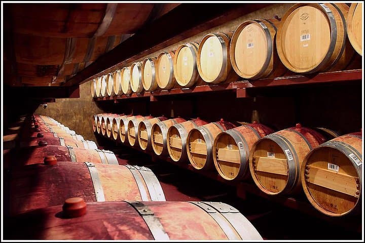 Hawke's Bay Half-Day Small-Group Winery Tour from Napier photo 2