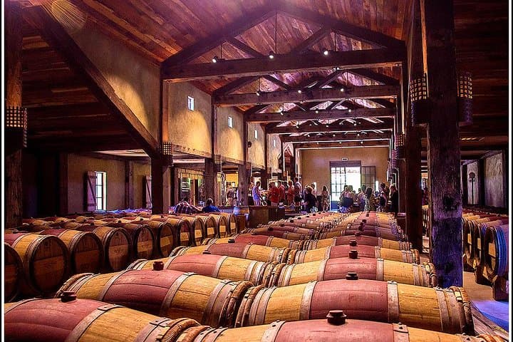 Hawke's Bay Half-Day Small-Group Winery Tour from Napier photo 4