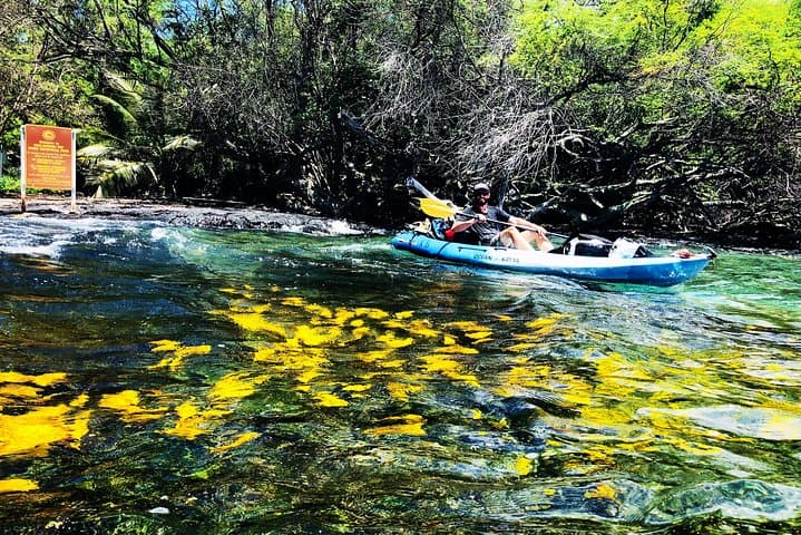 Midday Meander: Kayak and Snorkel Kealakekua Bay’s Historic Shores photo 2