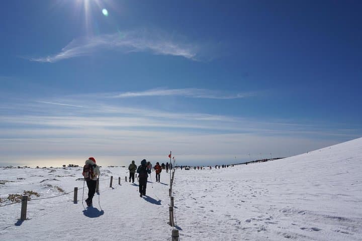 5-Day Jeju Hiking: Hallasan Summit, Yeongsil & Olle Coastal Trails