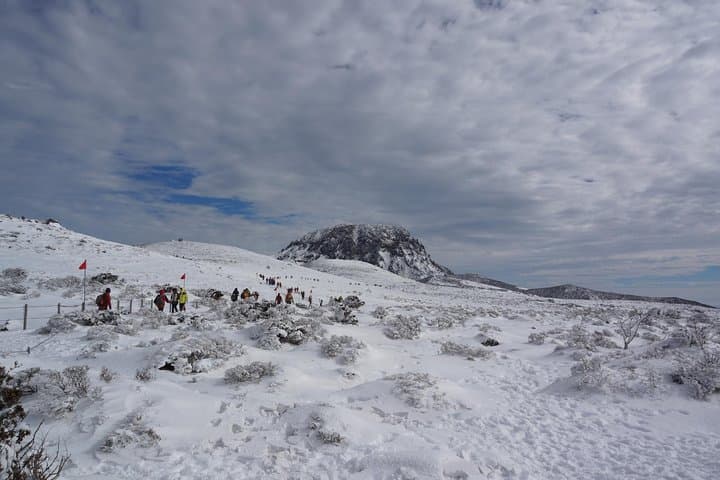 5-Day Jeju Hiking: Hallasan Summit, Yeongsil & Olle Coastal Trails photo 6