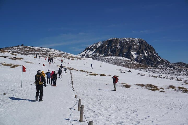 5-Day Jeju Hiking: Hallasan Summit, Yeongsil & Olle Coastal Trails photo 4