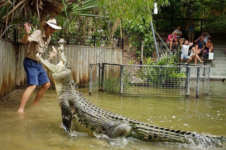 Hartley’s Crocodile Adventures: Half-Day Wildlife Cruise & Keeper Shows near Cairns photo 3