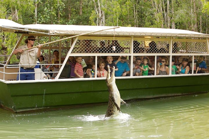 Hartley’s Crocodile Adventures: Half-Day Wildlife Cruise & Keeper Shows near Cairns photo 4