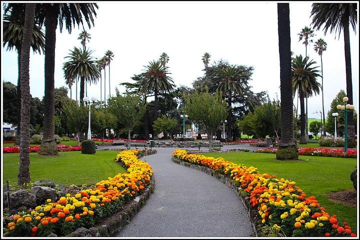 Napier Art Deco Shore Excursion: 2-Hour Sightseeing & Mission Estate Visit