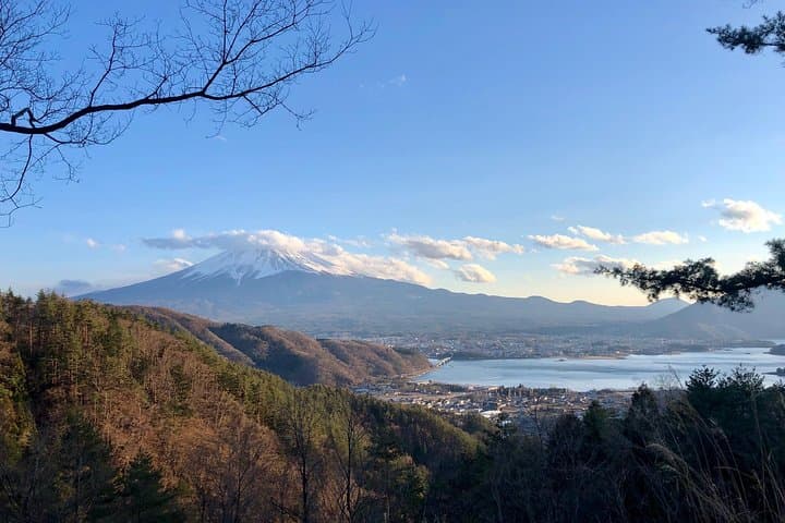 Private Mt Fuji Guided Tours (Kawaguchiko & Aokigahara) in English photo 2