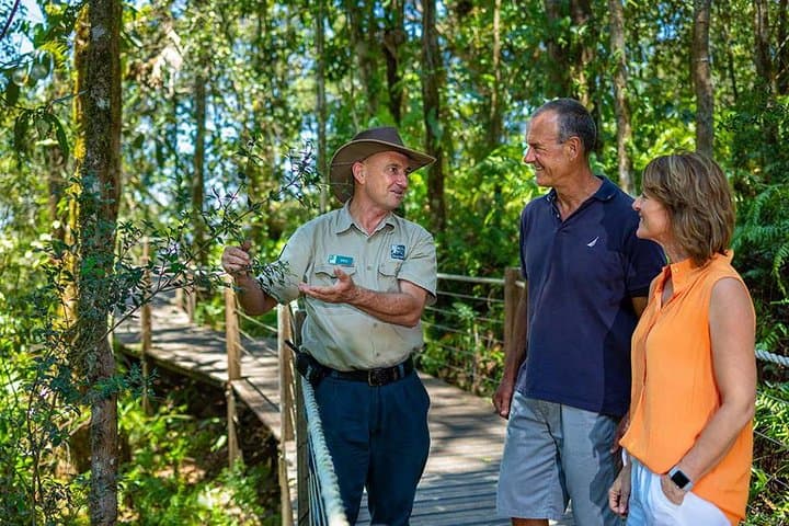 Kuranda Scenic Railway & Skyrail Day Trip from Palm Cove — Rainforest, Falls & Kuranda Markets photo 5