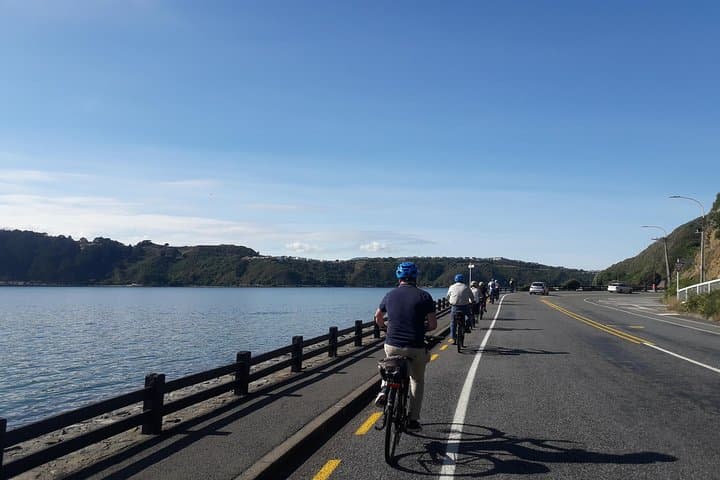 Wellington eBike Shore Excursion: Guided Waterfront & Miramar Tour photo 5