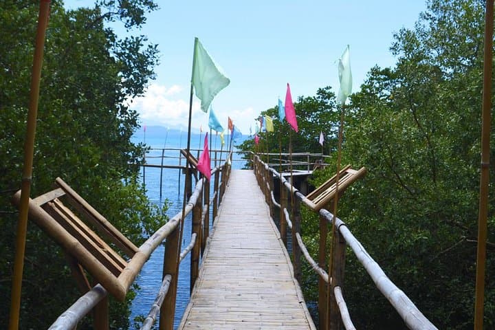 Puerto Galera Coral Garden Snorkel: Half-Day Trip to Giant Clams & Underwater Caves photo 3