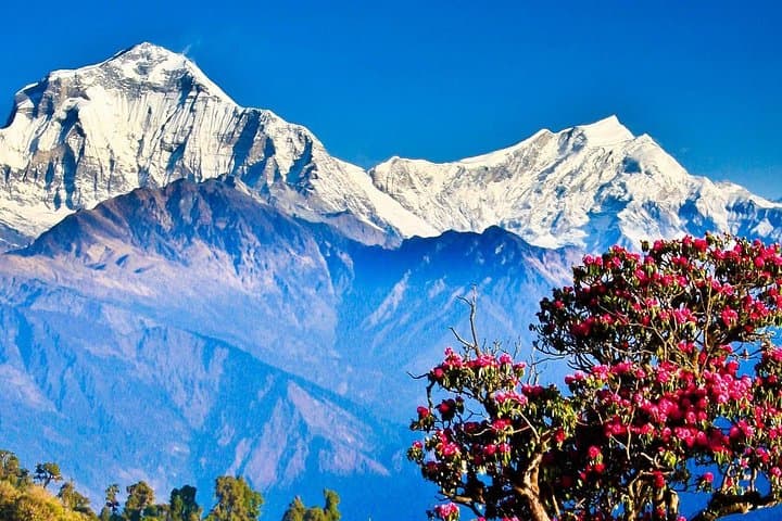 Ghorepani Poon Hill Trek: Sunrise Views & Annapurna Short Trek Guide photo 2
