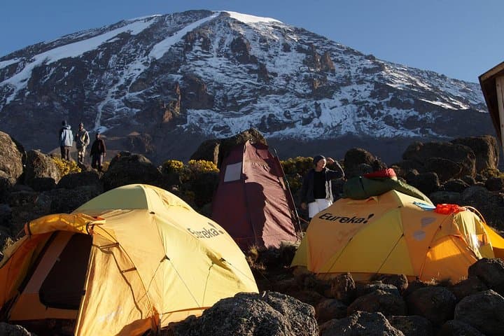 Kilimanjaro Lemosho Route 8-Day Itinerary — Western Approach to Uhuru Peak photo 4