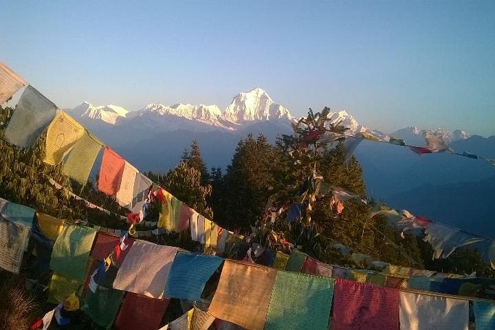 Ghorepani Poon Hill Trek: 6-Day Annapurna Sunrise Trek from Pokhara photo 4
