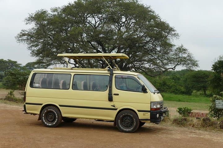 Nairobi National Park Afternoon Game Drive: 1pm–6pm Wildlife Safari photo 4