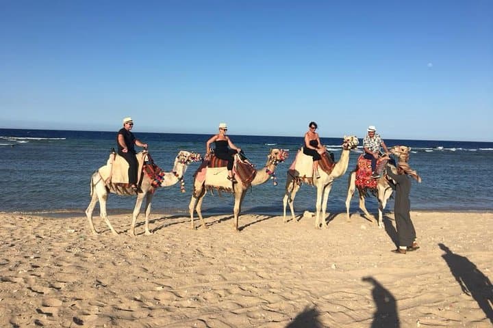 Sunrise Horse & Camel Ride in Hurghada — Desert and Red Sea Excursion