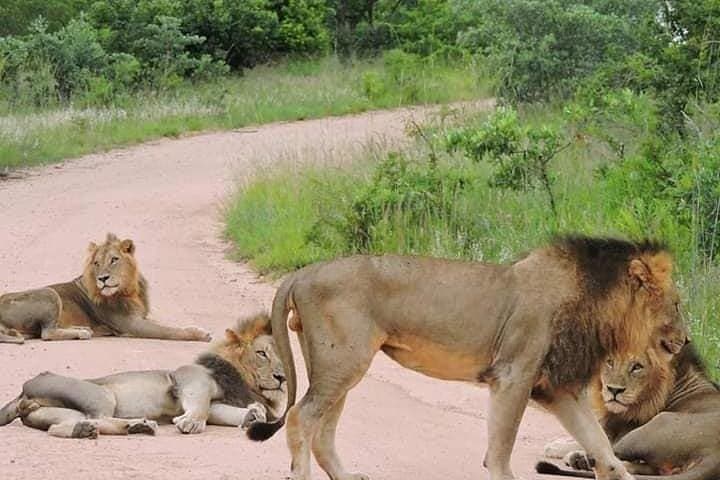 Dar es Salaam Transfers & Accommodation: 24/7 Van Service and Local Day Tours photo 6