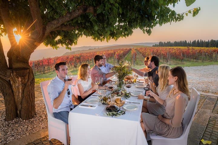 istria-truffle-hunt-and-wine-tasting-slovenia photo 2