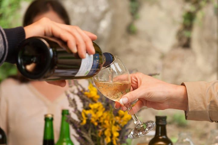 istria-truffle-hunt-and-wine-tasting-slovenia photo 3