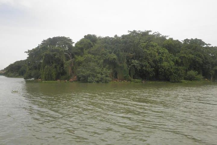 Kisumu Day Tour: Ndere Island, Impala Sanctuary & Cultural Stops on Lake Victoria photo 4