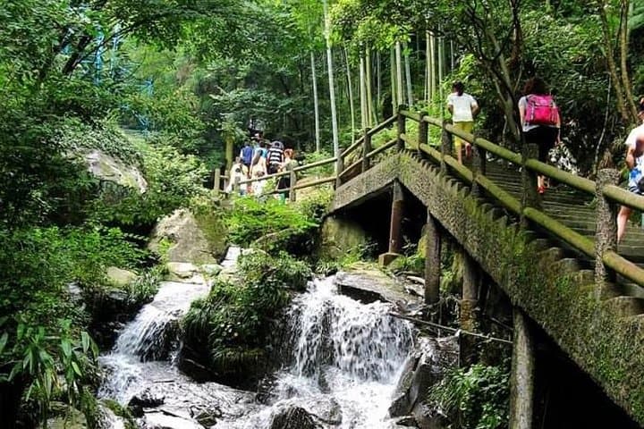Private Transfer from Hangzhou to Canglong Waterfall (Anji): A Practical Guide photo 6
