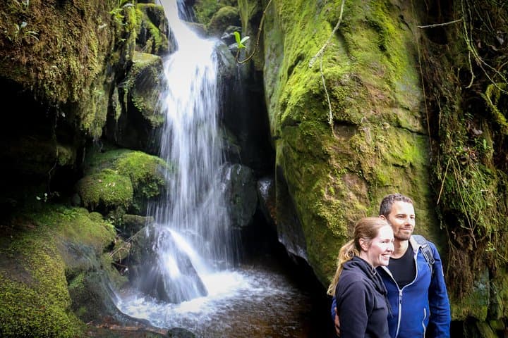 Choachí Cloud Forest & Waterfalls Half-Day Hike from Bogotá photo 6