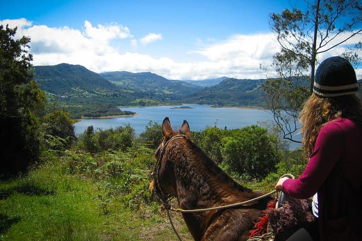 Half-Day Horseback Ride into the Andes Near La Calera