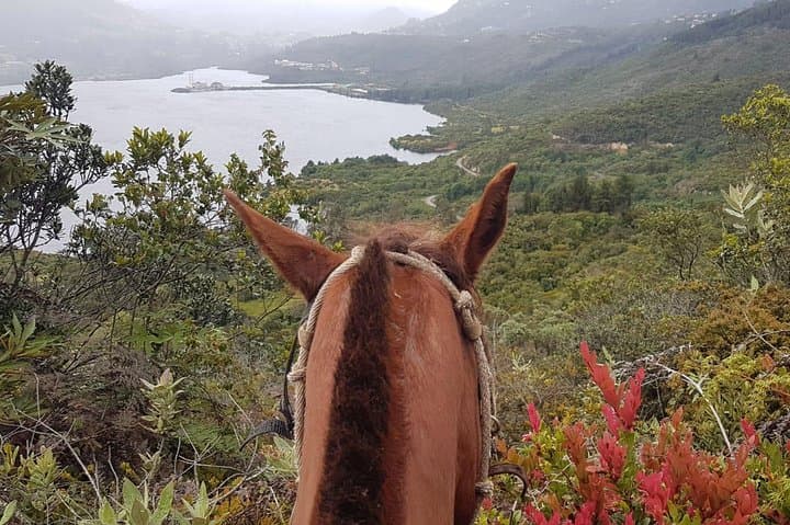 Half-Day Horseback Ride into the Andes Near La Calera photo 6