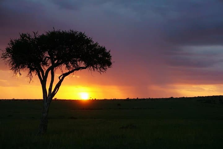 Exploring Nairobi National Park: A 4-Hour Safari Adventure on the City’s Edge photo 3