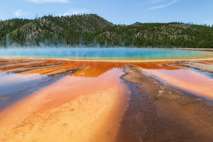 Best of Yellowstone — Full-Day Guided Wildlife Safari from Jackson Hole