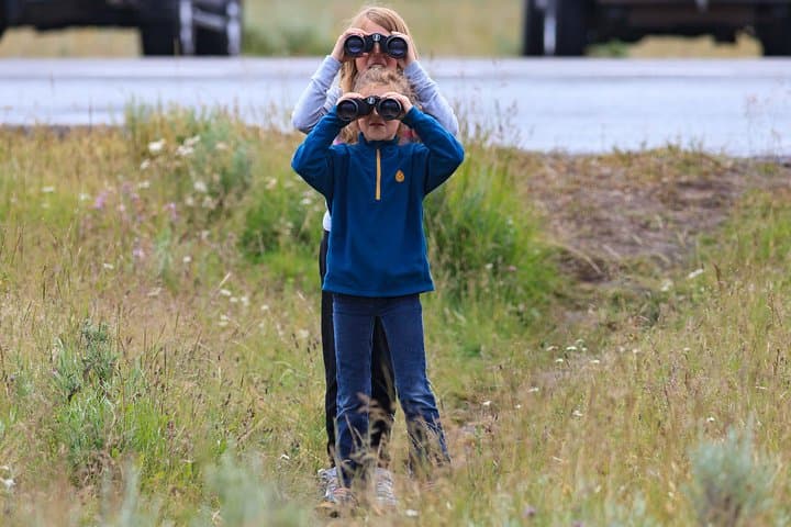 Best of Yellowstone — Full-Day Guided Wildlife Safari from Jackson Hole photo 4