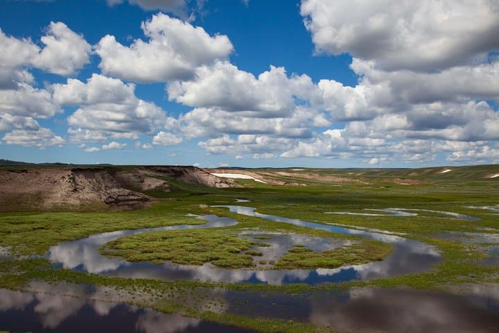 Best of Yellowstone — Full-Day Guided Wildlife Safari from Jackson Hole photo 6