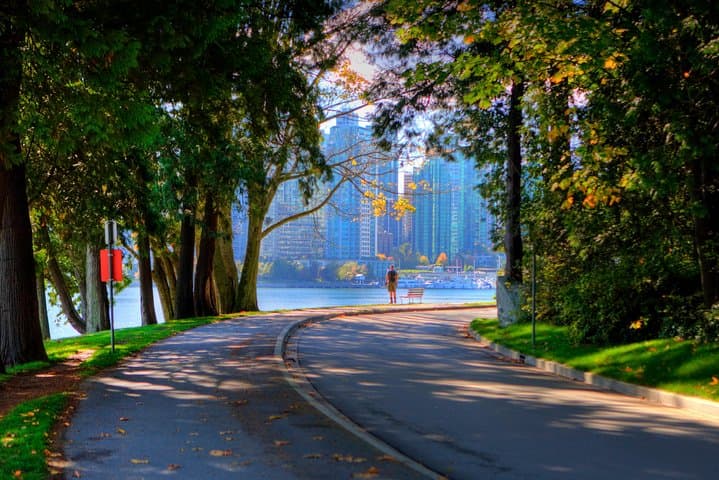 Classic Cadillac Private Tour of Vancouver — Stanley Park, Granville Island & Gastown photo 4