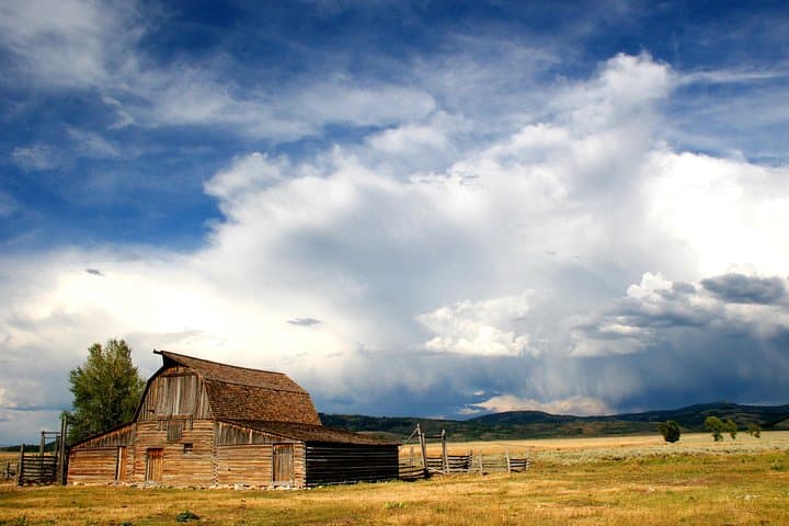 Grand Teton Wildlife Safari: Full-Day Wildlife, Geology, and Natural History Tour from Jackson photo 4