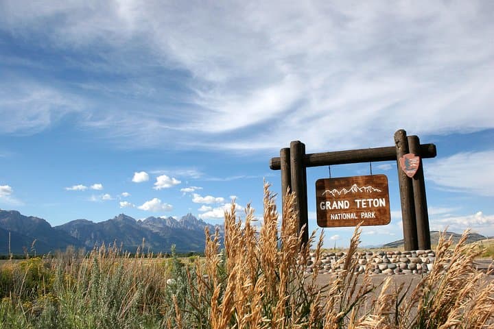 Private Grand Teton Wildlife Safari: Full-Day Guided Tour from Jackson Hole photo 4