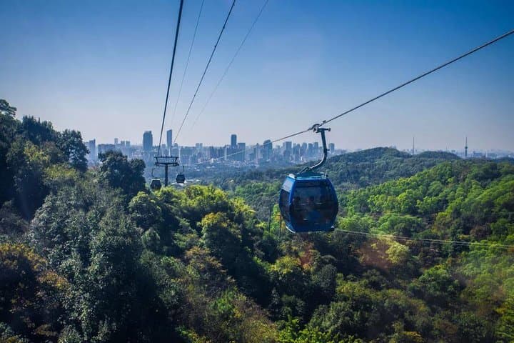 Guangzhou Baiyun Mountain Layover Tour with Dim Sum — Cable Car, Gardens & Temple photo 4