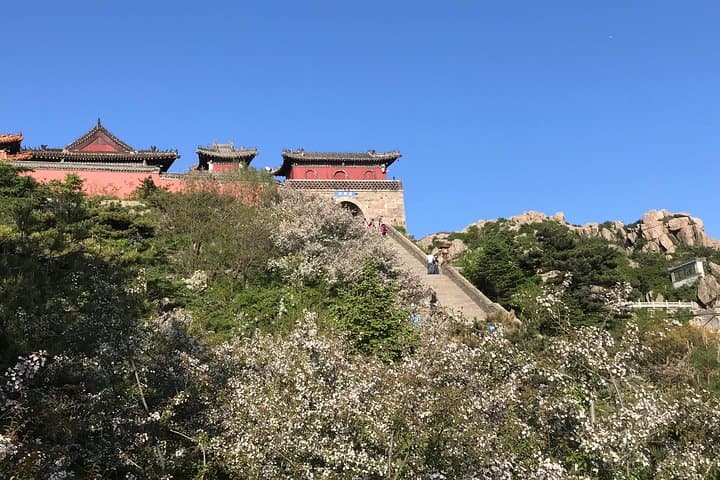 Mount Tai Private Tour from Jinan — Bullet Train & Cable Car to Taishan photo 2