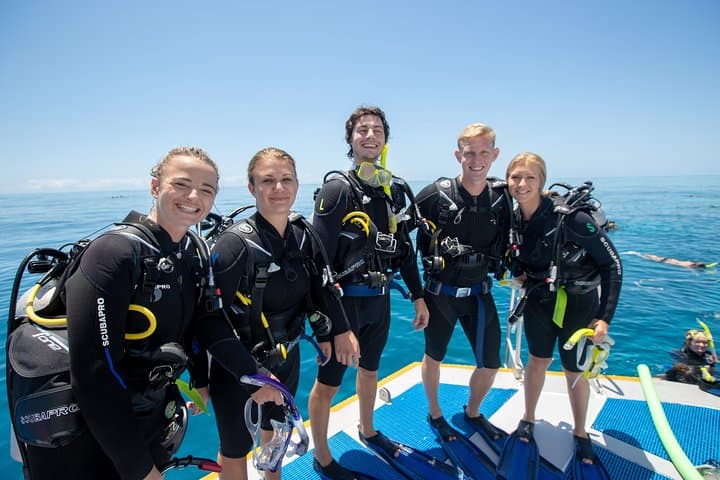 Learn to Dive on the Great Barrier Reef: 4-Day PADI Open Water Course from Cairns