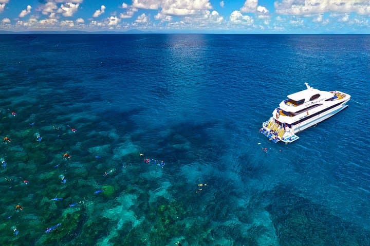 Learn to Dive on the Great Barrier Reef: 4-Day PADI Open Water Course from Cairns photo 5
