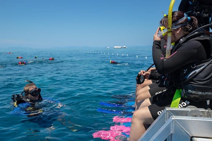 Learn to Dive on the Great Barrier Reef: 4-Day PADI Open Water Course from Cairns photo 2