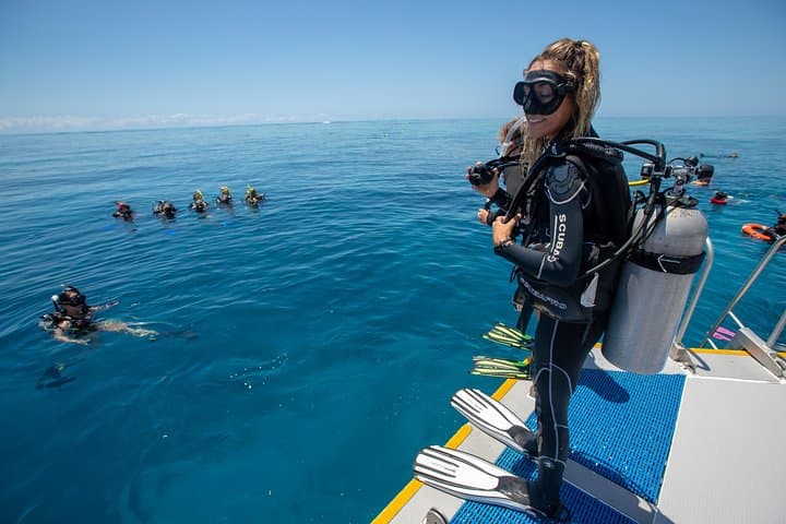 Learn to Dive on the Great Barrier Reef: 4-Day PADI Open Water Course from Cairns photo 6